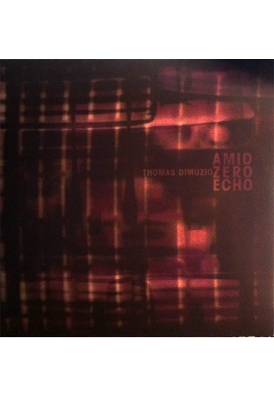 THOMAS DIMUZIO "Amid Zero Echo" 2x10"
